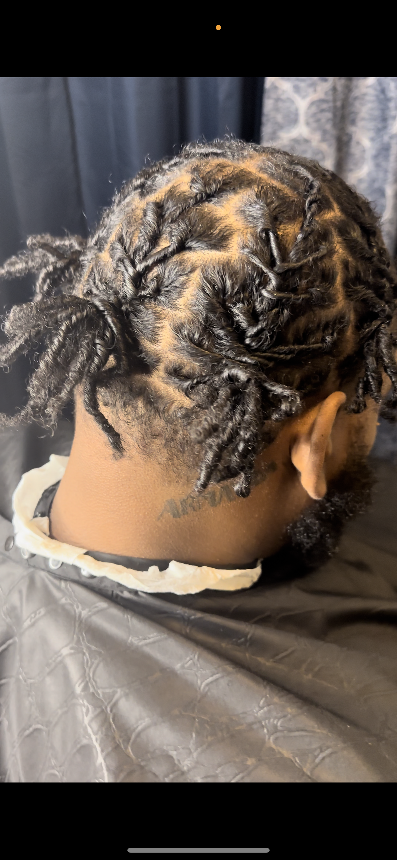 Starter Locs